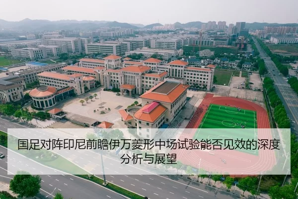 国足对阵印尼前瞻伊万菱形中场试验能否见效的深度分析与展望